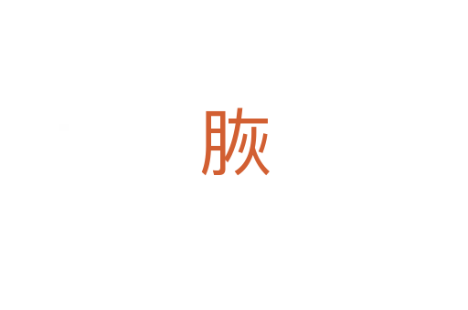 脄