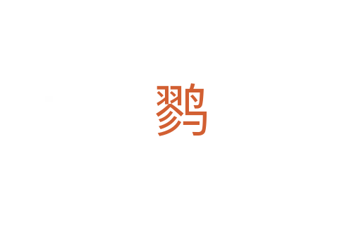 鹨