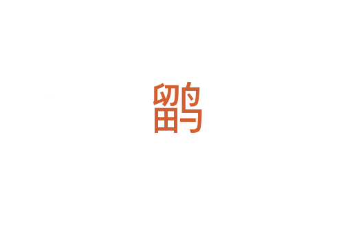 鹠