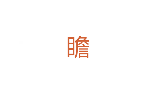 瞻