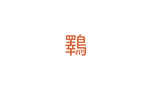 鸅