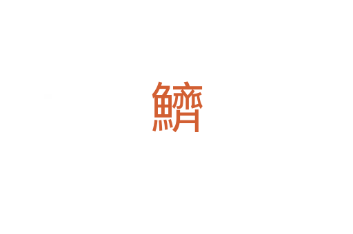 鱭