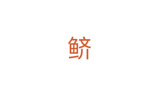 鲚