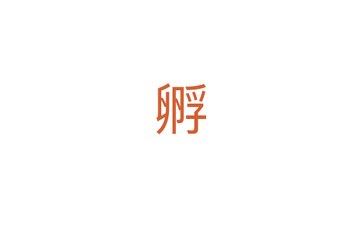 孵