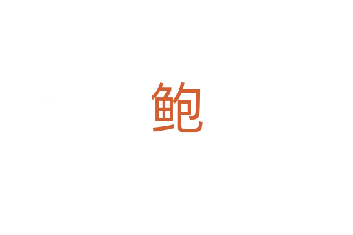 鲍