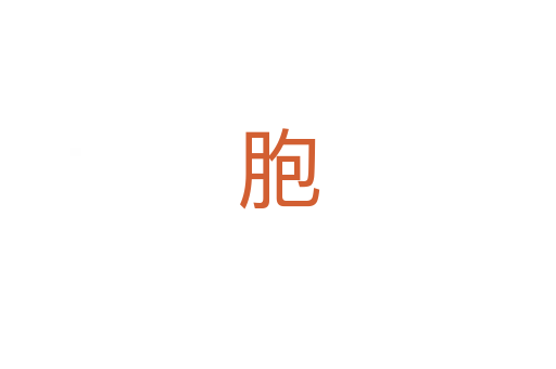 胞
