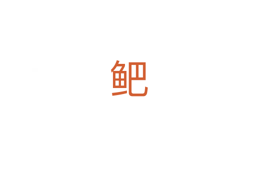 鲃