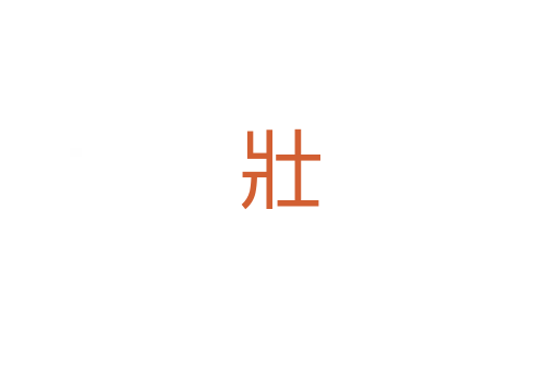 壯