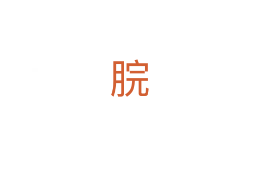 脘
