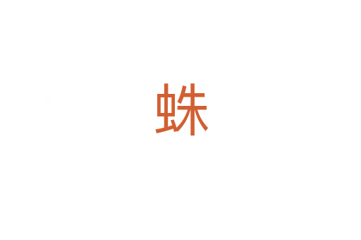 蛛