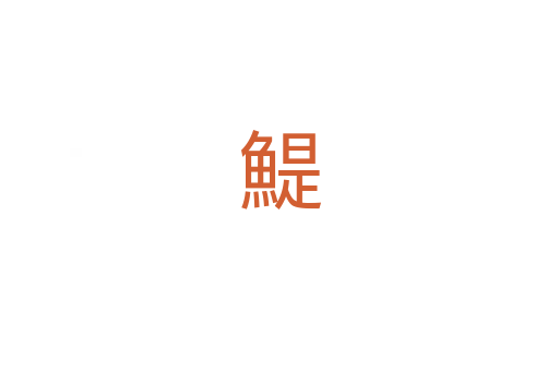 鯷