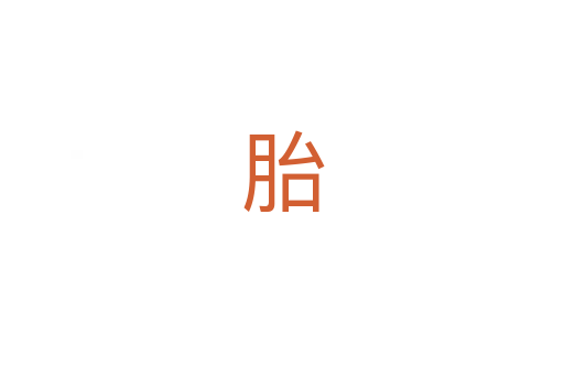 胎